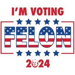 VOTING FELON